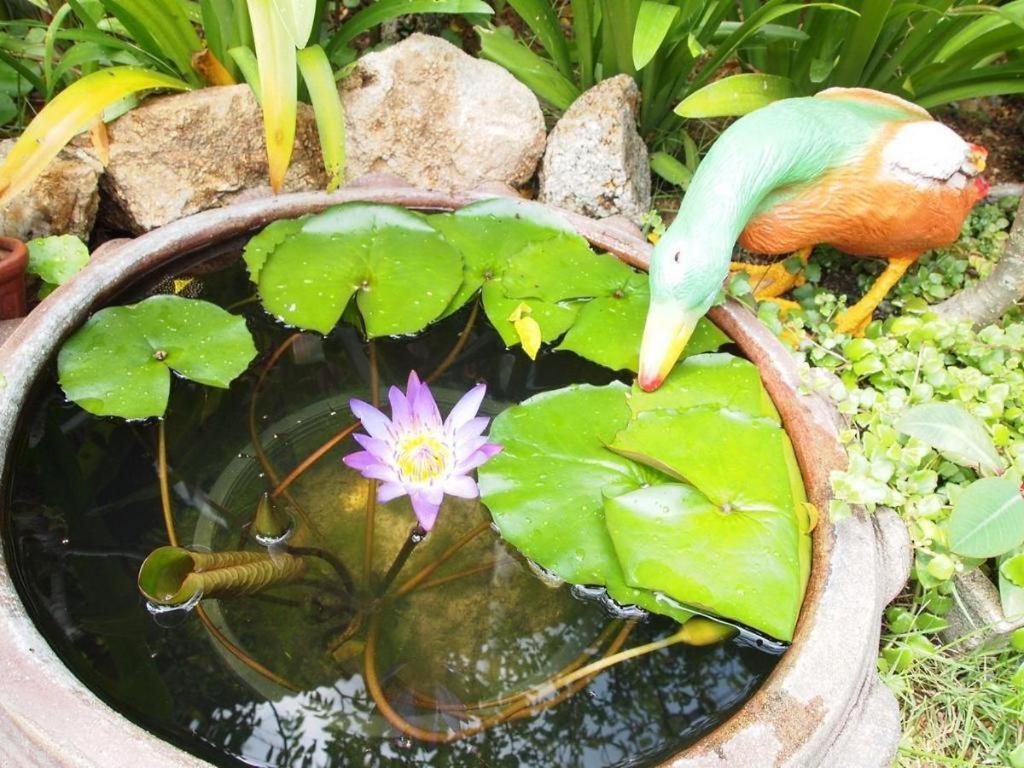 Baan Sala Lung Dam Hotel Bophut Εξωτερικό φωτογραφία